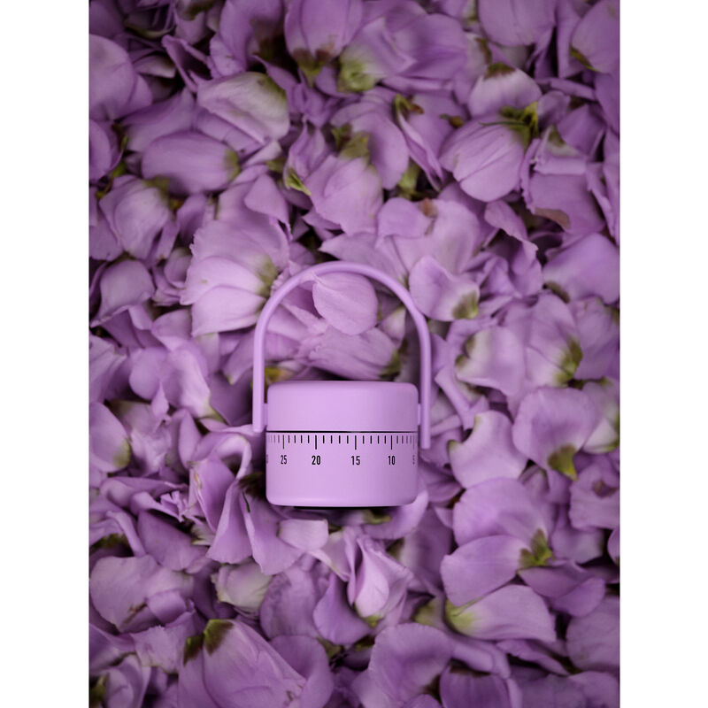 Singles K&uuml;chenwecker