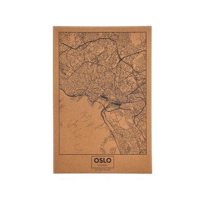 Oslo Billede