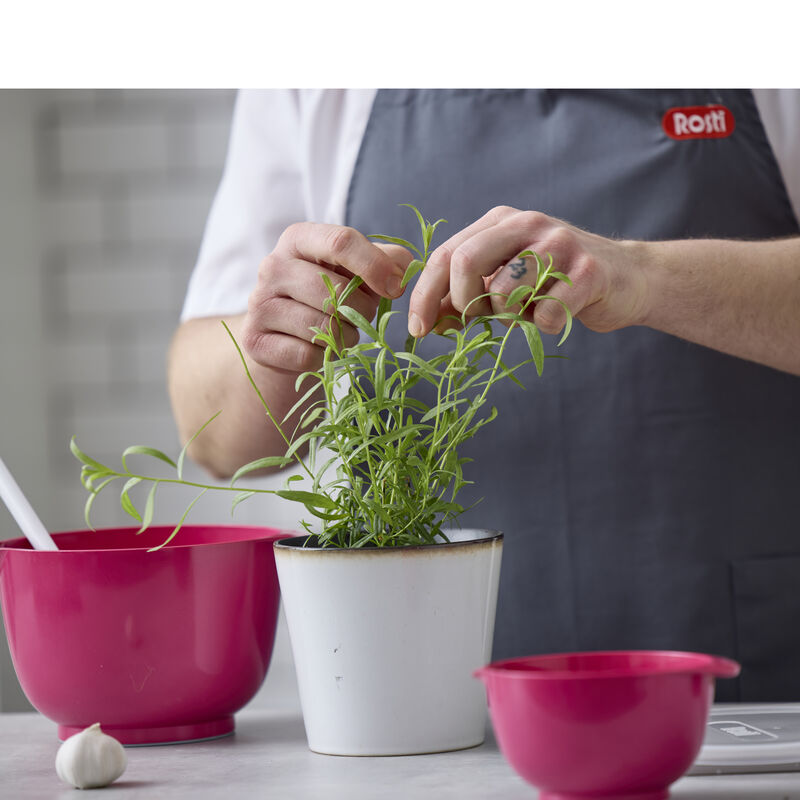 NEW Margrethe R&uuml;hrsch&uuml;ssel