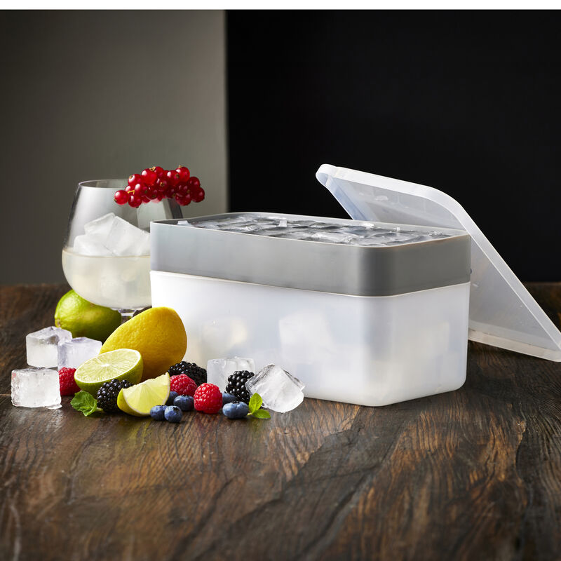 Eisw&uuml;rfelschale m. Deckel