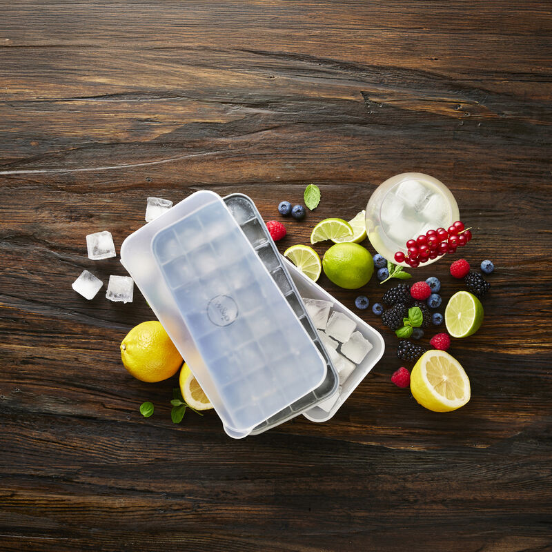 Eisw&uuml;rfelschale m. Deckel