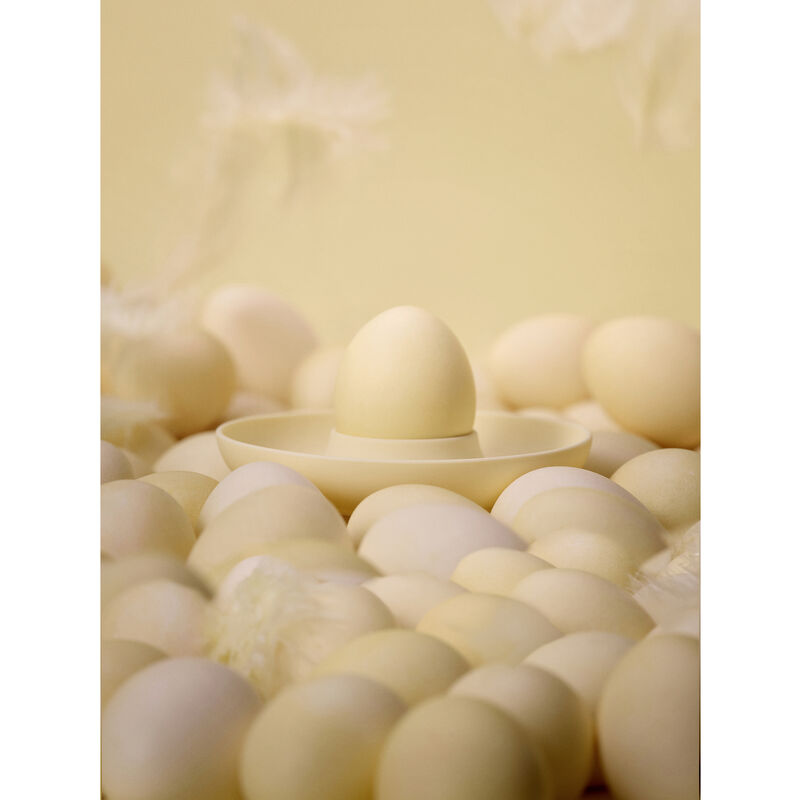 Singles &Auml;ggkopp 5 delar