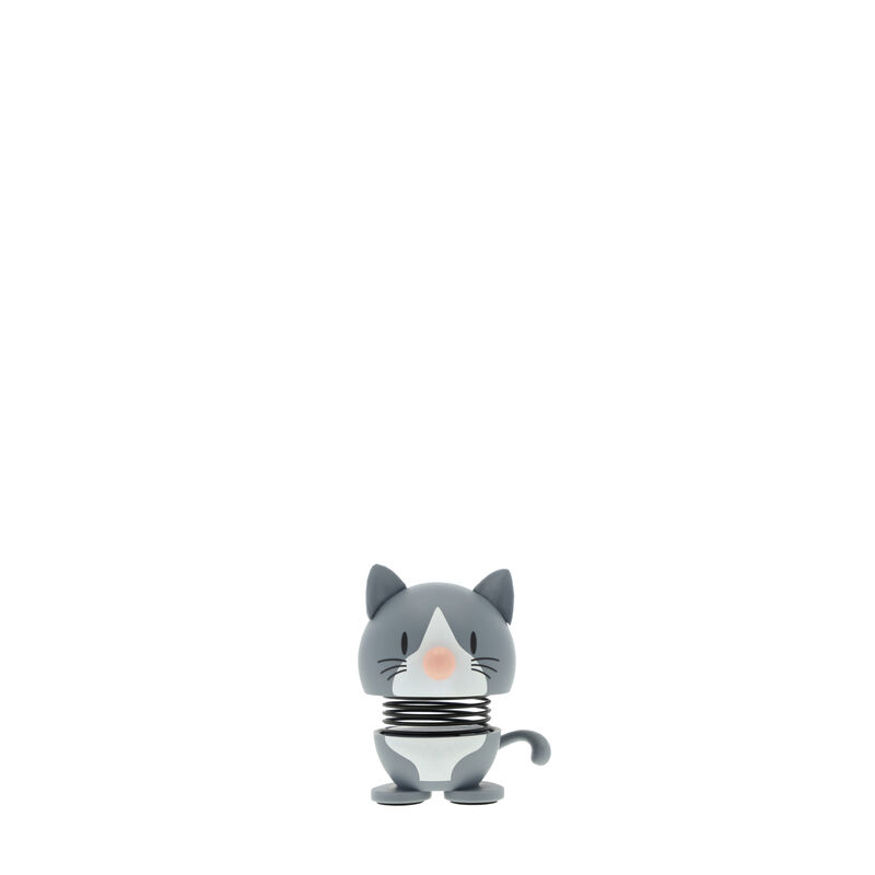 Blue American Shorthair Hoptimist