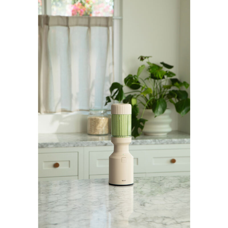 Mighty Blender 650 watt