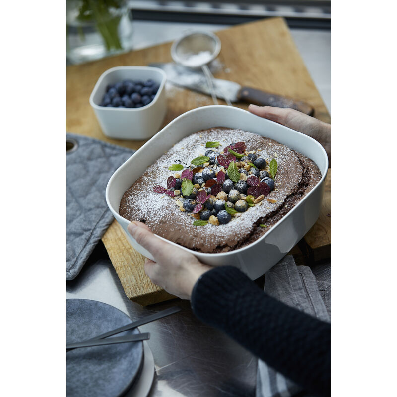 Modula Plat de cuisson au four