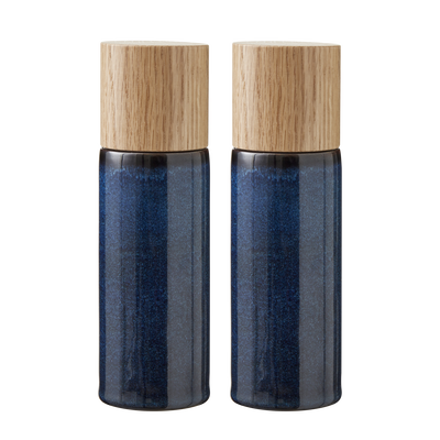 Gastro Salt & Peppar