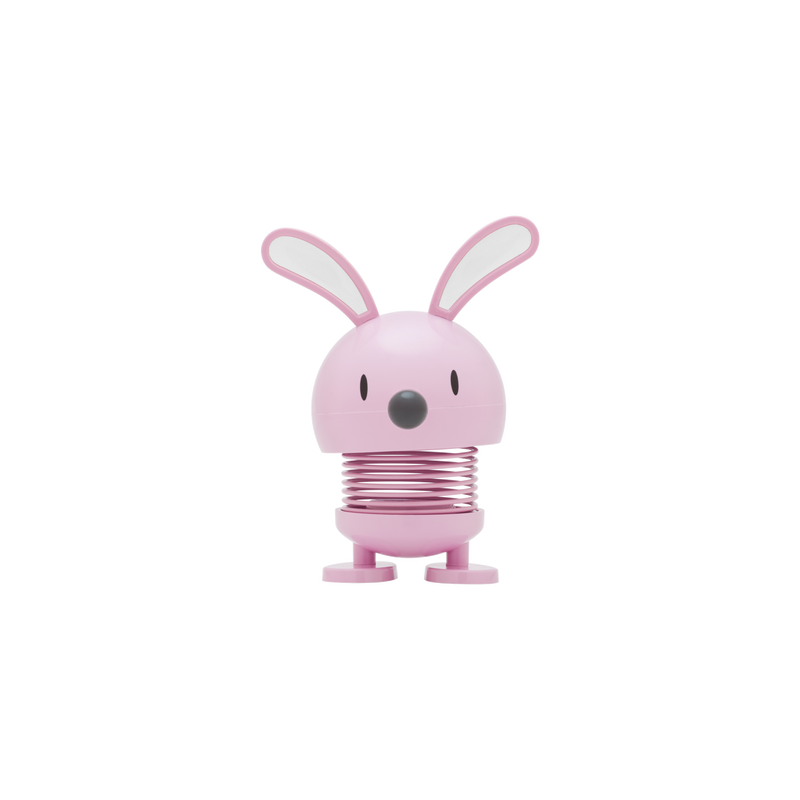 Bunny Hoptimist Bunny Hoptimist