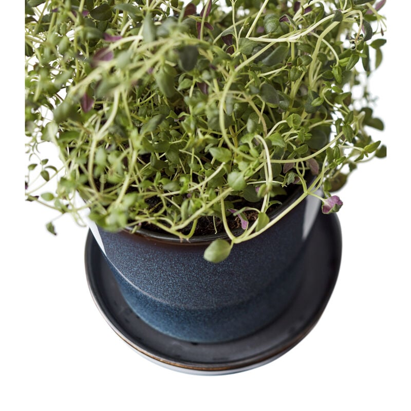Gastro Flowerpot Gastro Flowerpot