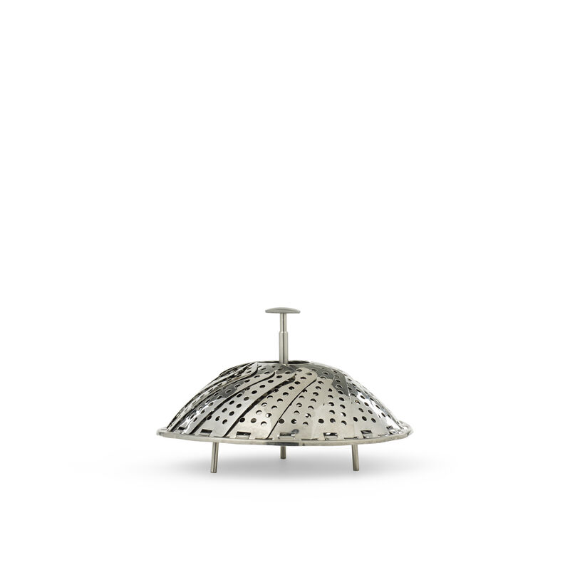 Gr&oslash;ntsagsdampindsats