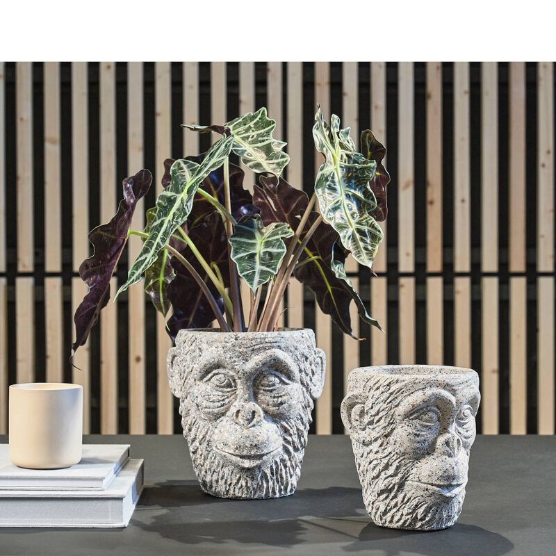 Calbe Flowerpot Calbe Flowerpot