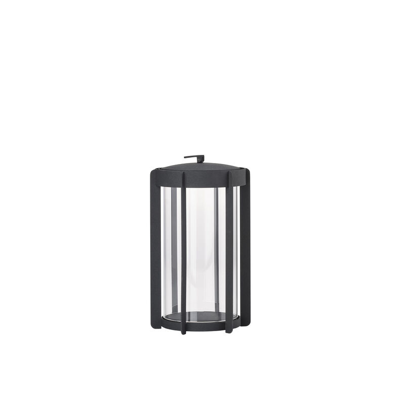 Firefly Lanterne