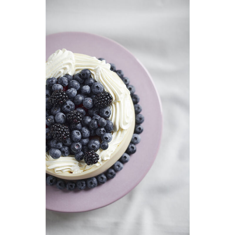 Gastro Pr&eacute;sentoir g&acirc;teaux