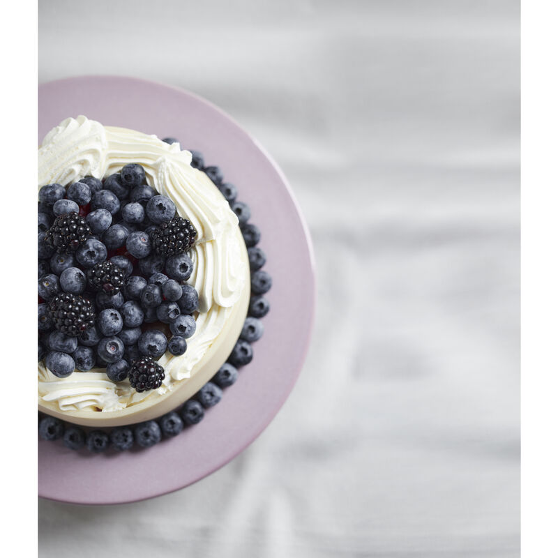 Gastro Pr&eacute;sentoir g&acirc;teaux