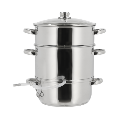 Steam juicer