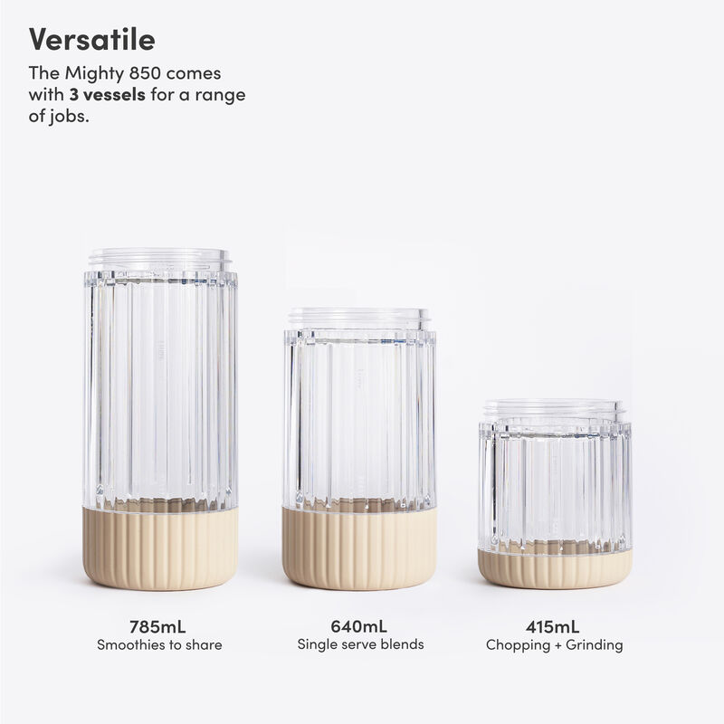 Mighty Plus Mixeur 850 watt