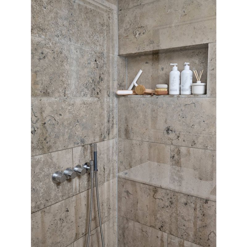 Inu Brosse de douche