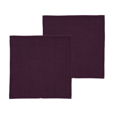 Spectrum Dish cloth 2 pcs