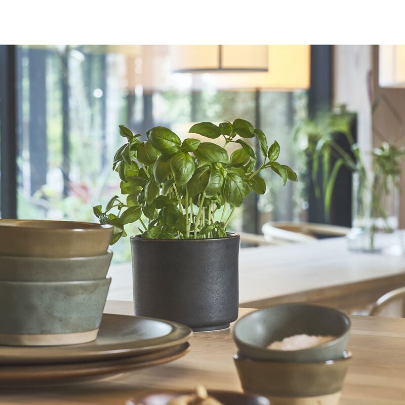 Leer Flowerpot Leer Flowerpot