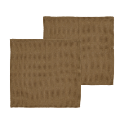 Spectrum Dish cloth 2 pcs