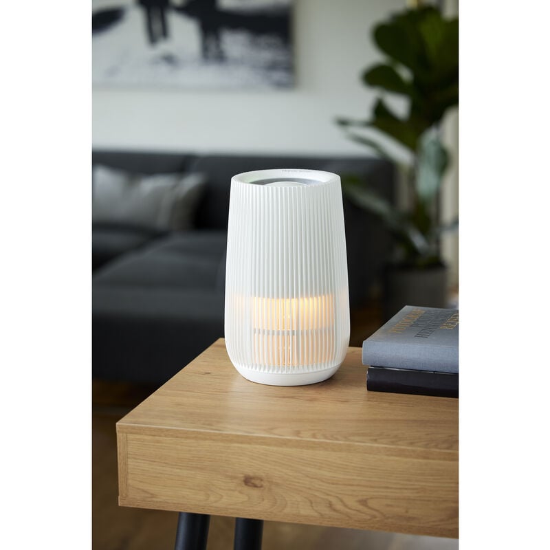 Luftrenser 10-12 38 watt Luftrenser 10-12 38 watt