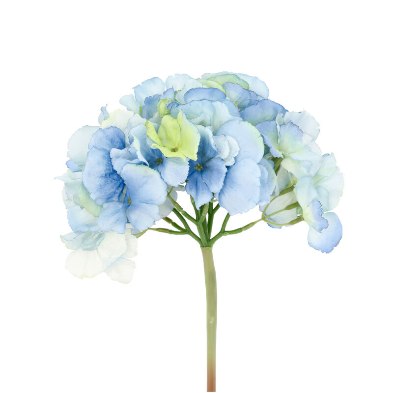 Hydrangea Flower