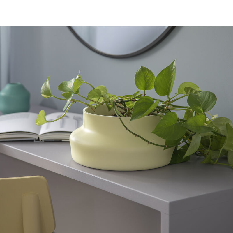 Dorotea Vase Dorotea Vase