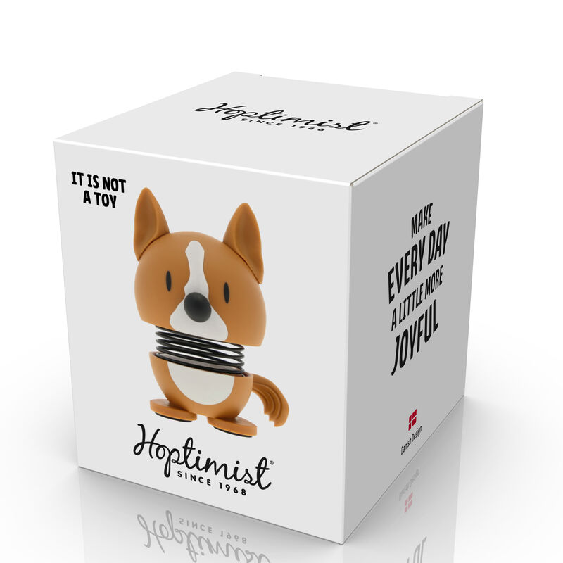 Corgi Hoptimist