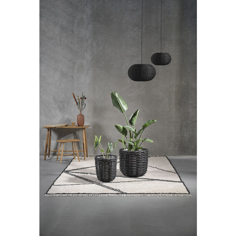 Bodo Schemel Bodo Schemel