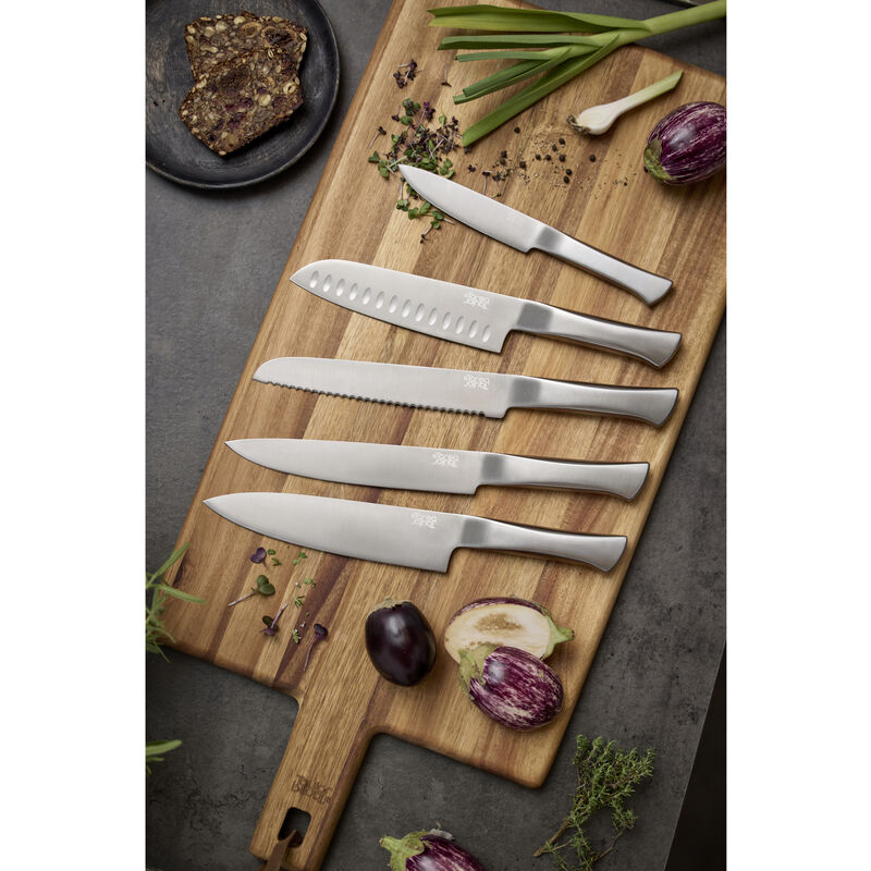 Precision Ensemble de couteaux 5 pieces