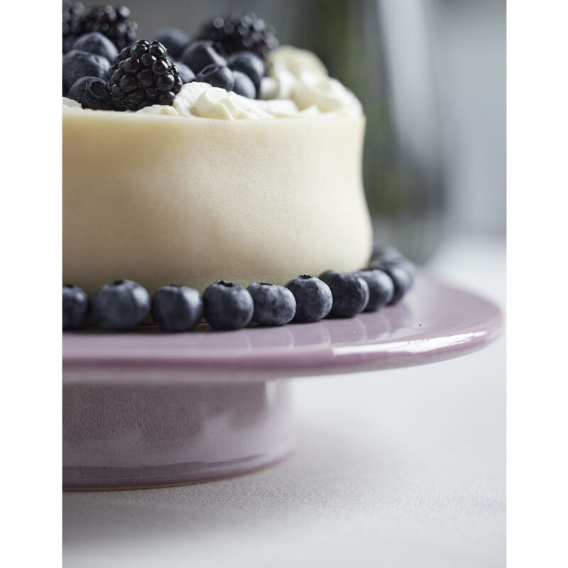 Gastro Pr&eacute;sentoir g&acirc;teaux