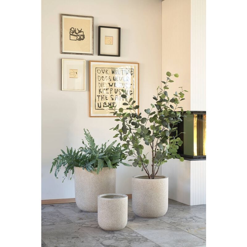 Thum Plant basket 2 pcs Thum Plant basket 2 pcs