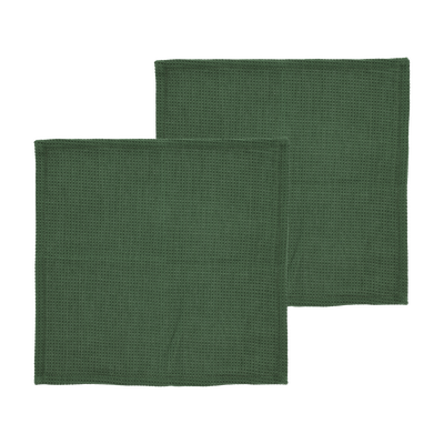 Spectrum Dish cloth 2 pcs