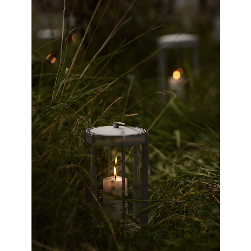 Firefly Laterne