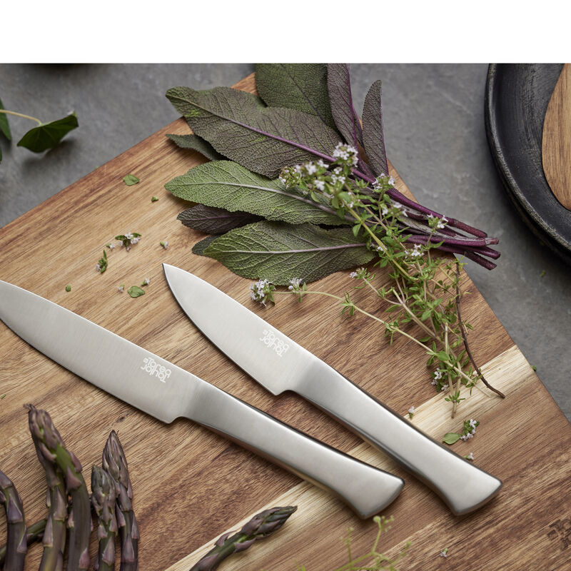 Precision Universalkniv