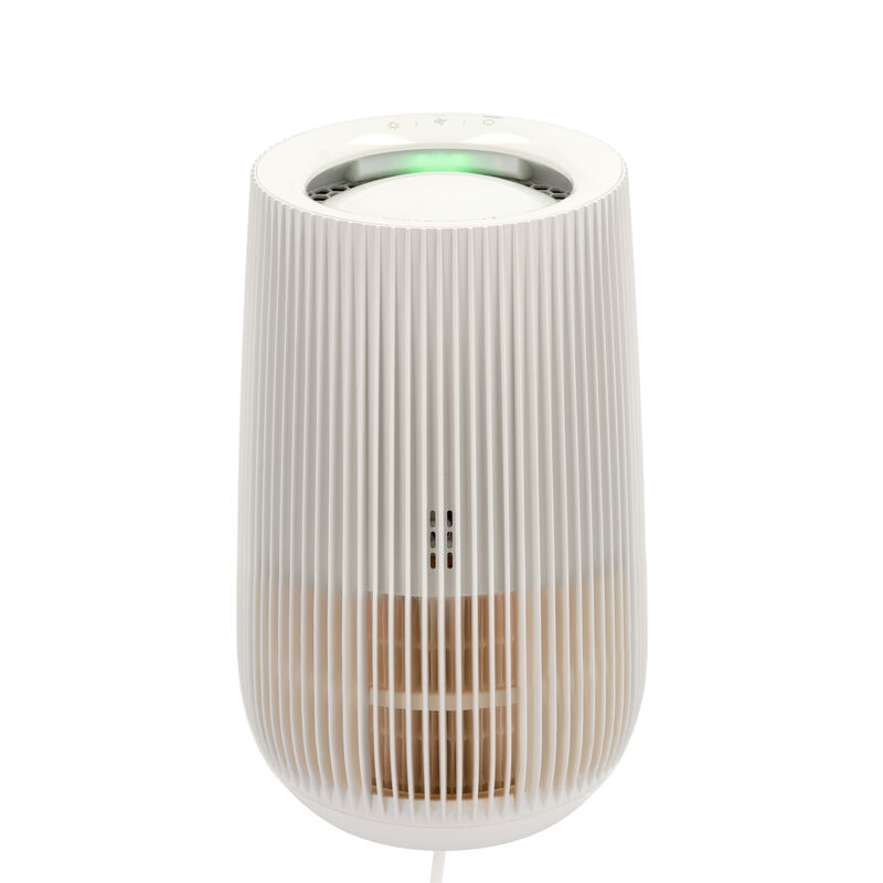 Luftrenser 10-12 38 watt Luftrenser 10-12 38 watt