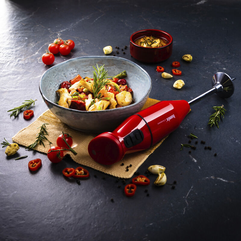 Cordless Hand blender 10,8 volt