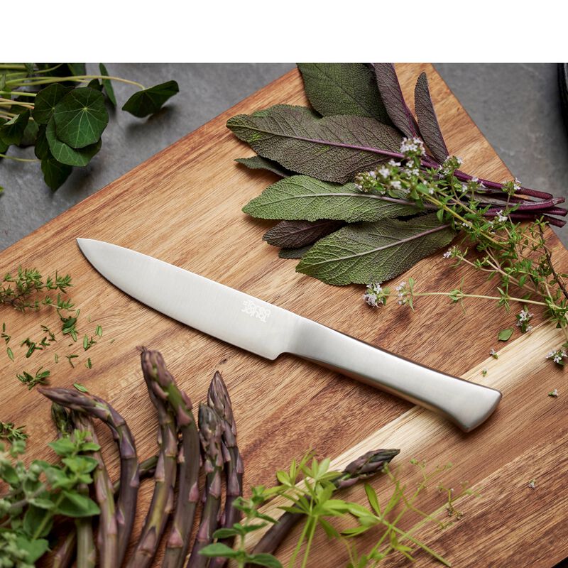 Precision Universalkniv