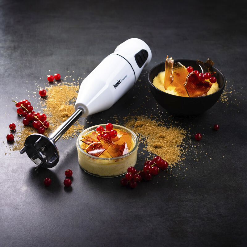 Cordless Stavmikser 10,8 volt