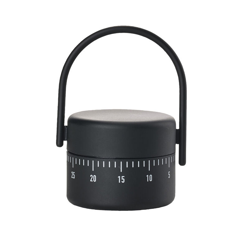 Singles K&uuml;chenwecker