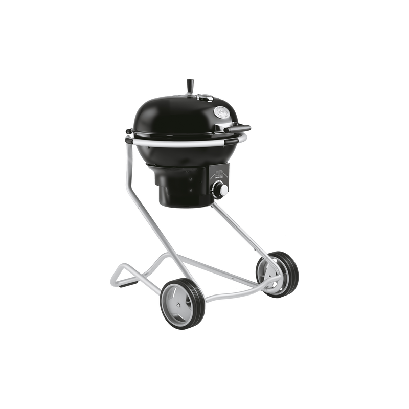 F50 Air Kolgrill