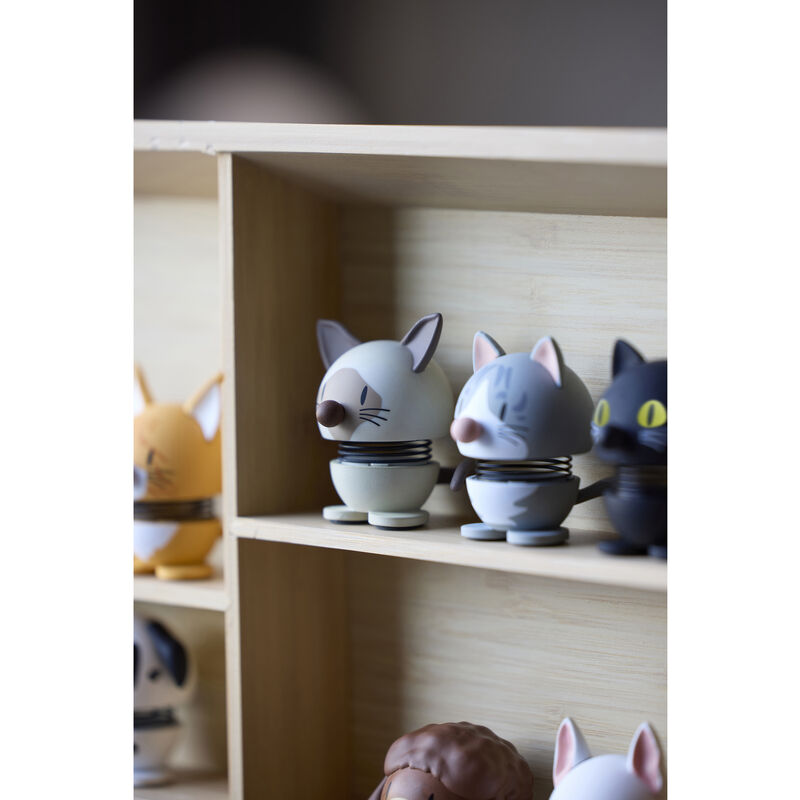 Maine Coon Hoptimist