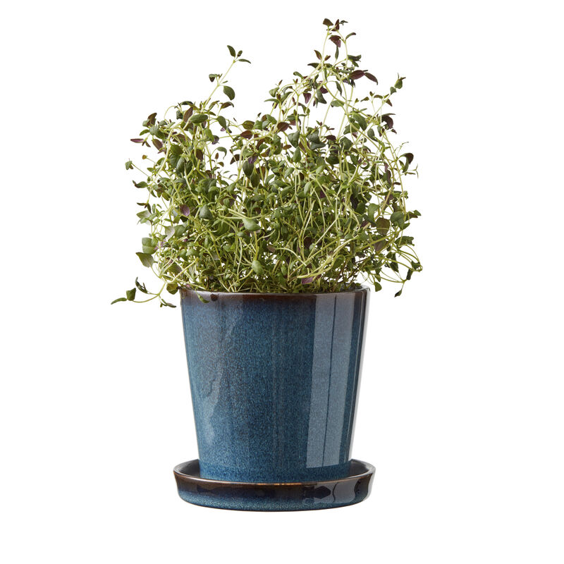 Gastro Skjuler Gastro Skjuler