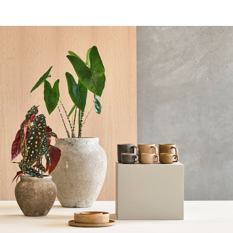 Fjord Tasse espresso 2 pces Fjord Tasse espresso 2 pces