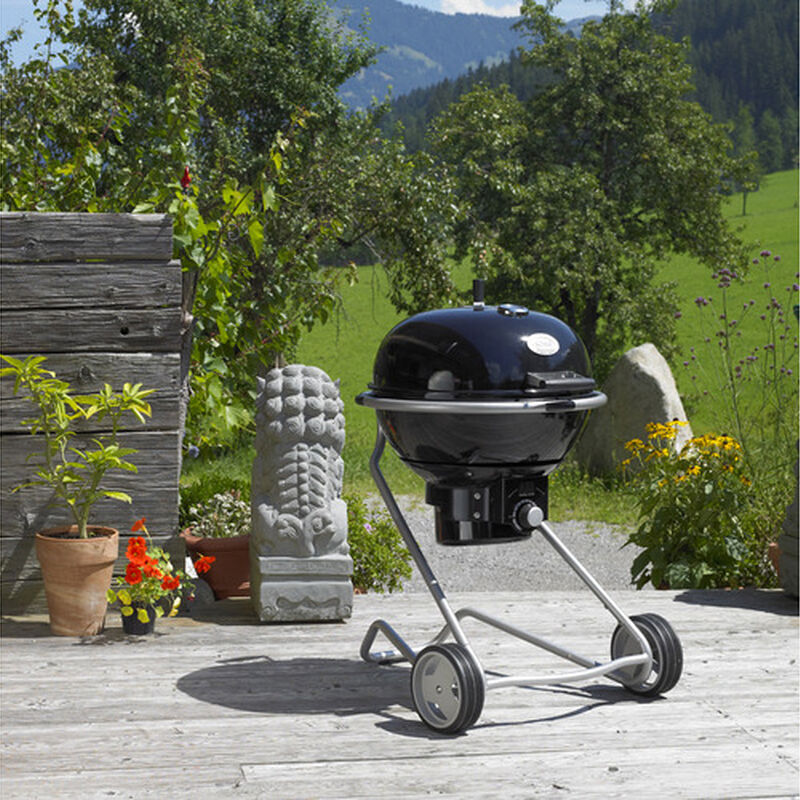 F50 Air Kolgrill