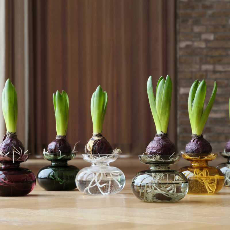 Inu Vase