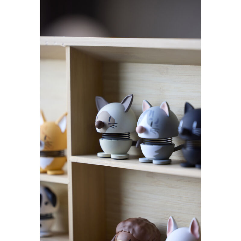 Blue American Shorthair Hoptimist