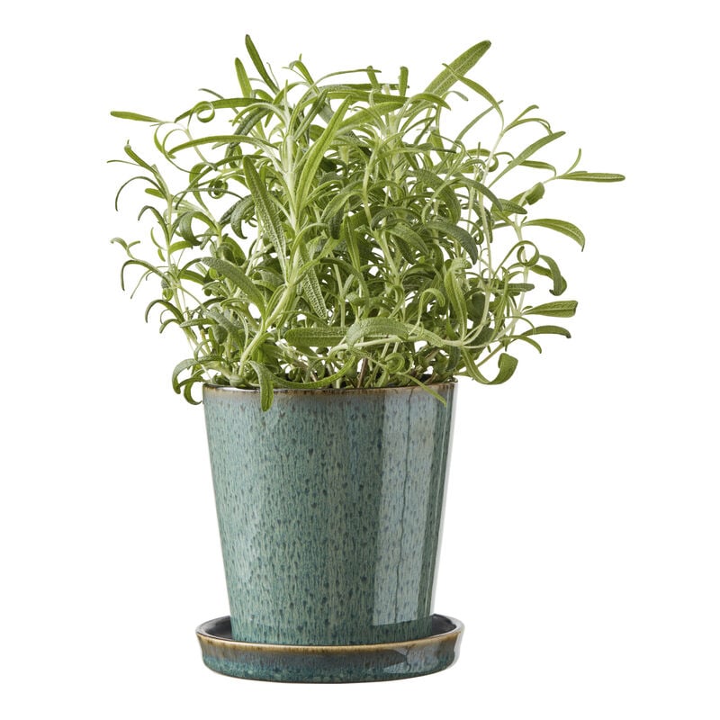 Gastro Skjuler Gastro Skjuler