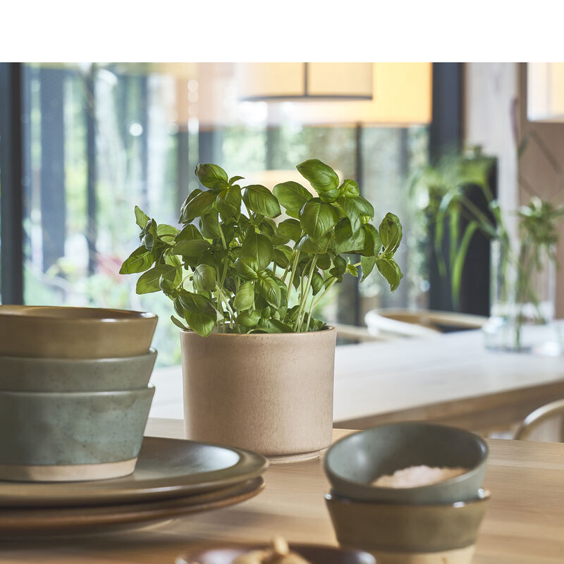 Leer Flowerpot Leer Flowerpot