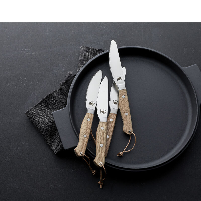 NAC Stegefad NAC Stegefad