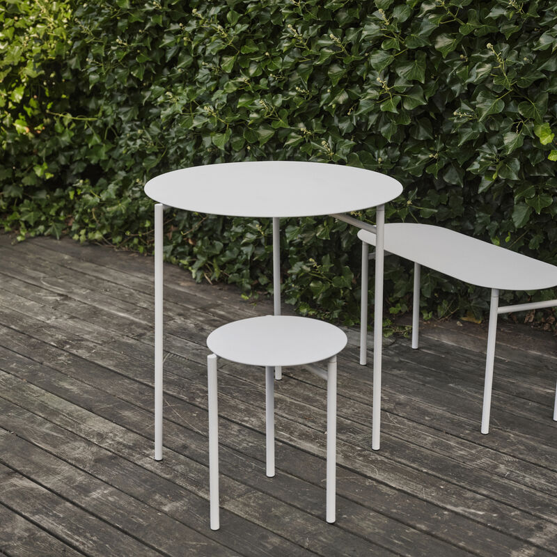 Disc Bord